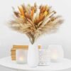 Sosayet Pampas Secas Decoracion, 100 Piezas Flores Secas Naturales 40-44 cm, Ramos de Flores Secas Naturales Decoración para el Hogar, Hierba de Pampa Esponjosas para Decoracion Boho Fiestas Bodas
