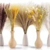Sosayet Pampas Secas Decoracion, 100 Piezas Flores Secas Naturales 40-44 cm, Ramos de Flores Secas Naturales Decoración para el Hogar, Hierba de Pampa Esponjosas para Decoracion Boho Fiestas Bodas