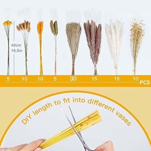 Sosayet Pampas Secas Decoracion, 100 Piezas Flores Secas Naturales 40-44 cm, Ramos de Flores Secas Naturales Decoración para el Hogar, Hierba de Pampa Esponjosas para Decoracion Boho Fiestas Bodas