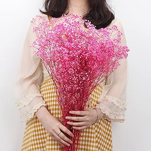 51RzStY85PS._AC_.jpg YIWOYI Ramo de flores secas naturales Gypsophila Paniculata preservadas para decoración del hogar y fiestas de boda (blanco, 30-40 cm, 30 g)