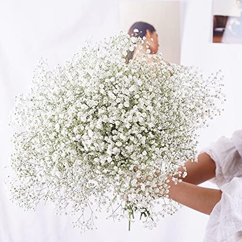 YIWOYI Ramo de flores secas naturales Gypsophila Paniculata preservadas para YIWOYI Ramo de flores secas naturales Gypsophila Paniculata preservadas para decoración del hogar y fiestas de boda (blanco, 30-40 cm, 30 g)