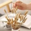 Hierba de Pampas Secas, 55-58 cm Flores Artificiales Secas Pampas Grass, Ramos de Flores Secas, Ramos de Pampa para Fotografía, Decoración de Bodas, Fiestas, Hogar (60 Piezas)