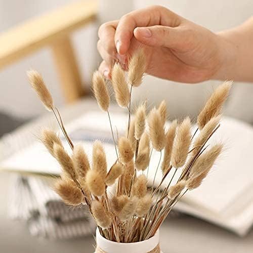 Hierba de Pampas Secas, 55-58 cm Flores Artificiales Secas Pampas Grass, Ramos de Flores Secas, Ramos de Pampa para Fotografía, Decoración de Bodas, Fiestas, Hogar (60 Piezas)