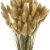 Hierba de Pampas Secas, 55-58 cm Flores Artificiales Secas Pampas Grass, Ramos de Flores Secas, Ramos de Pampa para Fotografía, Decoración de Bodas, Fiestas, Hogar (60 Piezas)