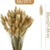 Hierba de Pampas Secas, 55-58 cm Flores Artificiales Secas Pampas Grass, Ramos de Flores Secas, Ramos de Pampa para Fotografía, Decoración de Bodas, Fiestas, Hogar (60 Piezas)