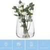 TREND FOR HOME Jarrón Decorativo A: 22.7 cm Vidrio Transparente Florero Redondo Jarrones para Rosas Pampa Tulipanes Flores Secas Centro de Mesa Decorativo Salon | Ø 19 cm | 5090 ml | Zinnia