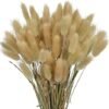 Hierba de Pampas Secas, 55-58 cm Flores Artificiales Secas Pampas Grass, Ramos de Flores Secas, Ramos de Pampa para Fotografía, Decoración de Bodas, Fiestas, Hogar (60 Piezas)