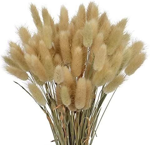 Hierba de Pampas Secas, 55-58 cm Flores Artificiales Secas Pampas Grass, Ramos de Flores Secas, Ramos de Pampa para Fotografía, Decoración de Bodas, Fiestas, Hogar (60 Piezas)