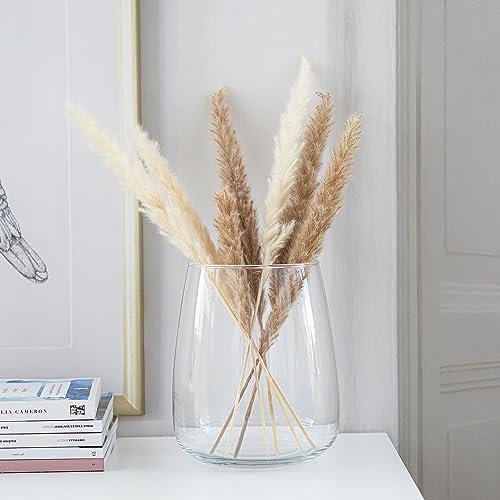 TREND FOR HOME Jarrón Decorativo A: 22.7 cm Vidrio Transparente Florero Redondo Jarrones para Rosas Pampa Tulipanes Flores Secas Centro de Mesa Decorativo Salon | Ø 19 cm | 5090 ml | Zinnia
