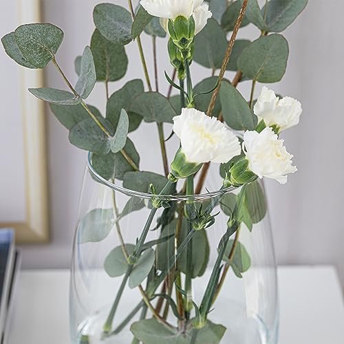 TREND FOR HOME Jarrón Decorativo A: 22.7 cm Vidrio Transparente Florero Redondo Jarrones para Rosas Pampa Tulipanes Flores Secas Centro de Mesa Decorativo Salon | Ø 19 cm | 5090 ml | Zinnia