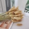 Hierba de Pampas Secas, 55-58 cm Flores Artificiales Secas Pampas Grass, Ramos de Flores Secas, Ramos de Pampa para Fotografía, Decoración de Bodas, Fiestas, Hogar (60 Piezas)