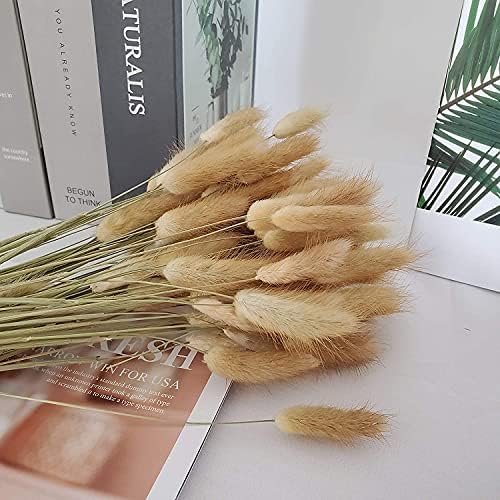 Hierba de Pampas Secas, 55-58 cm Flores Artificiales Secas Pampas Grass, Ramos de Flores Secas, Ramos de Pampa para Fotografía, Decoración de Bodas, Fiestas, Hogar (60 Piezas)