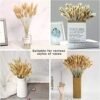 Hierba de Pampas Secas, 55-58 cm Flores Artificiales Secas Pampas Grass, Ramos de Flores Secas, Ramos de Pampa para Fotografía, Decoración de Bodas, Fiestas, Hogar (60 Piezas)