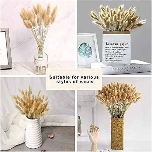 Hierba de Pampas Secas, 55-58 cm Flores Artificiales Secas Pampas Grass, Ramos de Flores Secas, Ramos de Pampa para Fotografía, Decoración de Bodas, Fiestas, Hogar (60 Piezas)