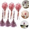 Cabilock 30 Piezas Decoración De Caja De Regalo Adorno De Arreglo Floral Arreglos Falsos Plantas Artificiales Mini Decoración Ramo De Novia Flores Secas Comedor Florero Pequeño