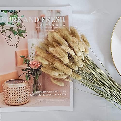 Hierba de Pampas Secas, 55-58 cm Flores Artificiales Secas Pampas Grass, Ramos de Flores Secas, Ramos de Pampa para Fotografía, Decoración de Bodas, Fiestas, Hogar (60 Piezas)