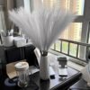 Susire Decoracion Hogar Flores Secas Artificial: Pampas Secas Decoracion Grande Alta Plumas Resistente Boho con 3 Ramos y Altura de 1.2m Color Blanco