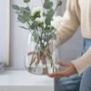 TREND FOR HOME Jarrón Decorativo A: 22.7 cm Vidrio Transparente Florero Redondo Jarrones para Rosas Pampa Tulipanes Flores Secas Centro de Mesa Decorativo Salon | Ø 19 cm | 5090 ml | Zinnia