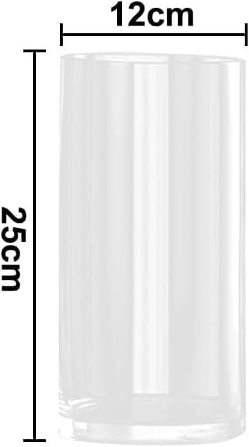 LOMUG Jarrón cilíndrico grande de cristal de 25 cm de alto, transparente, jarrón de flores de 12 cm de diámetro, jarrón de cilindro decorativo, tarros de velas, redondos, modernos, grandes jarrones