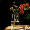 LOMUG Jarrón cilíndrico grande de cristal de 25 cm de alto, transparente, jarrón de flores de 12 cm de diámetro, jarrón de cilindro decorativo, tarros de velas, redondos, modernos, grandes jarrones
