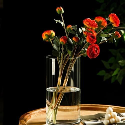 LOMUG Jarrón cilíndrico grande de cristal de 25 cm de alto, transparente, jarrón de flores de 12 cm de diámetro, jarrón de cilindro decorativo, tarros de velas, redondos, modernos, grandes jarrones