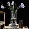 LOMUG Jarrón cilíndrico grande de cristal de 25 cm de alto, transparente, jarrón de flores de 12 cm de diámetro, jarrón de cilindro decorativo, tarros de velas, redondos, modernos, grandes jarrones