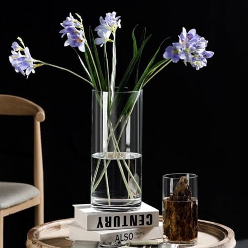 LOMUG Jarrón cilíndrico grande de cristal de 25 cm de alto, transparente, jarrón de flores de 12 cm de diámetro, jarrón de cilindro decorativo, tarros de velas, redondos, modernos, grandes jarrones