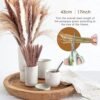PPcdfre 120 Piezas de Ramo de Hierba de Pampa para DecoracióN de Mesa de Hogar con Flores Boho, DecoracióN de Sala de Estar, Fiesta de Granja RúStica