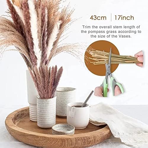 PPcdfre 120 Piezas de Ramo de Hierba de Pampa para DecoracióN de Mesa de Hogar con Flores Boho, DecoracióN de Sala de Estar, Fiesta de Granja RúStica