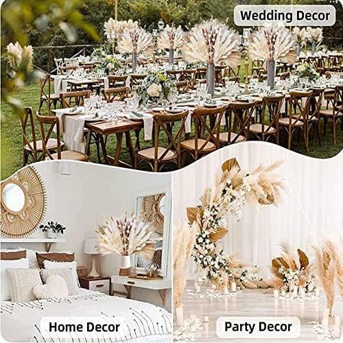 PPcdfre 120 Piezas de Ramo de Hierba de Pampa para DecoracióN de Mesa de Hogar con Flores Boho, DecoracióN de Sala de Estar, Fiesta de Granja RúStica