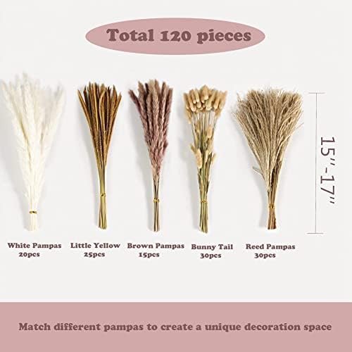 PPcdfre 120 Piezas de Ramo de Hierba de Pampa para DecoracióN de Mesa de Hogar con Flores Boho, DecoracióN de Sala de Estar, Fiesta de Granja RúStica