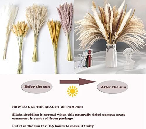 PPcdfre 120 Piezas de Ramo de Hierba de Pampa para DecoracióN de Mesa de Hogar con Flores Boho, DecoracióN de Sala de Estar, Fiesta de Granja RúStica