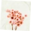 GOOHOCHY 30 Piezas Accesorios De Flores Eternas Margarita Flor Seca Flor Artificial Flores Artificiales Tapón Debajo del Sofá Flores Secas Flor Preservada Margarita Rosa Mini Ramo