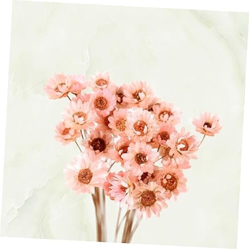 GOOHOCHY 30 Piezas Accesorios De Flores Eternas Margarita Flor Seca Flor Artificial Flores Artificiales Tapón Debajo del Sofá Flores Secas Flor Preservada Margarita Rosa Mini Ramo