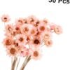GOOHOCHY 30 Piezas Accesorios De Flores Eternas Margarita Flor Seca Flor Artificial Flores Artificiales Tapón Debajo del Sofá Flores Secas Flor Preservada Margarita Rosa Mini Ramo