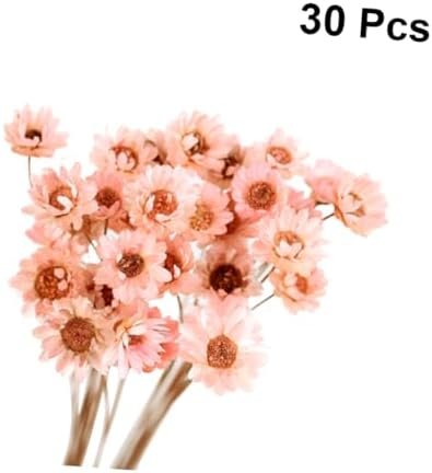 GOOHOCHY 30 Piezas Accesorios De Flores Eternas Margarita Flor Seca Flor Artificial Flores Artificiales Tapón Debajo del Sofá Flores Secas Flor Preservada Margarita Rosa Mini Ramo