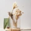 Pampas Secas Decoracion, Hierba Natural de la Pampa Seca Flores Secas Naturales Deco DIY Ramo de Flores secas para decoración Boho en jarrón de arreglo, hogar, Sala de Estar, Cocina o Boda (C-50)