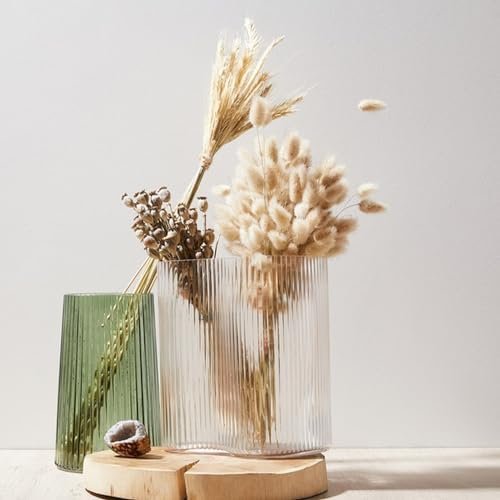 Pampas Secas Decoracion, Hierba Natural de la Pampa Seca Flores Secas Naturales Deco DIY Ramo de Flores secas para decoración Boho en jarrón de arreglo, hogar, Sala de Estar, Cocina o Boda (C-50)