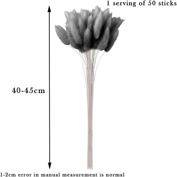 Snowtain 50 Piezas Cola de Conejo Flores Secas Ramos de Flores Secas,Flores Secas Naturales Ramo de Flores Secas y Esponjosas Pampas Flores Secas Ramo de Flores secas Phragmites (40cm Gris Negro)
