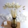 Pampas Secas Decoracion, Hierba Natural de la Pampa Seca Flores Secas Naturales Deco DIY Ramo de Flores secas para decoración Boho en jarrón de arreglo, hogar, Sala de Estar, Cocina o Boda (C-50)
