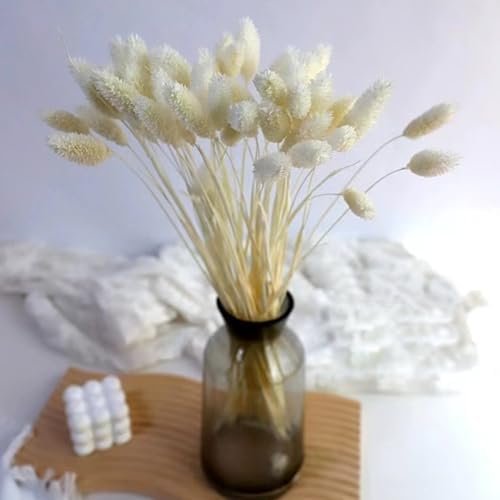 Pampas Secas Decoracion, Hierba Natural de la Pampa Seca Flores Secas Naturales Deco DIY Ramo de Flores secas para decoración Boho en jarrón de arreglo, hogar, Sala de Estar, Cocina o Boda (C-50)