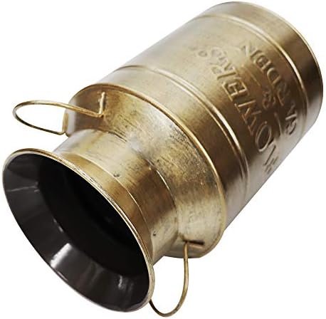 Soyizom Jarrones de Flores Decorativos, Cubo de Campo de Granja, Jarra de Leche Vintage rústica | Maceta de Metal galvanizado con Asas para Flores Florales Frescas secas para decoración