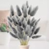Snowtain 50 Piezas Cola de Conejo Flores Secas Ramos de Flores Secas,Flores Secas Naturales Ramo de Flores Secas y Esponjosas Pampas Flores Secas Ramo de Flores secas Phragmites (40cm Gris Negro)