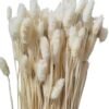 Pampas Secas Decoracion, Hierba Natural de la Pampa Seca Flores Secas Naturales Deco DIY Ramo de Flores secas para decoración Boho en jarrón de arreglo, hogar, Sala de Estar, Cocina o Boda (C-50)