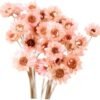GOOHOCHY 30 Piezas Accesorios De Flores Eternas Margarita Flor Seca Flor Artificial Flores Artificiales Tapón Debajo del Sofá Flores Secas Flor Preservada Margarita Rosa Mini Ramo