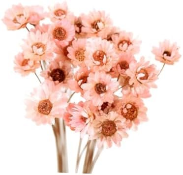GOOHOCHY 30 Piezas Accesorios De Flores Eternas Margarita Flor Seca Flor Artificial Flores Artificiales Tapón Debajo del Sofá Flores Secas Flor Preservada Margarita Rosa Mini Ramo