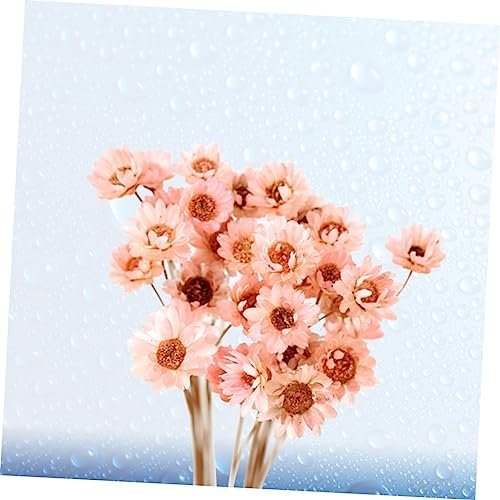 GOOHOCHY 30 Piezas Accesorios De Flores Eternas Margarita Flor Seca Flor Artificial Flores Artificiales Tapón Debajo del Sofá Flores Secas Flor Preservada Margarita Rosa Mini Ramo