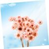 GOOHOCHY 30 Piezas Accesorios De Flores Eternas Margarita Flor Seca Flor Artificial Flores Artificiales Tapón Debajo del Sofá Flores Secas Flor Preservada Margarita Rosa Mini Ramo