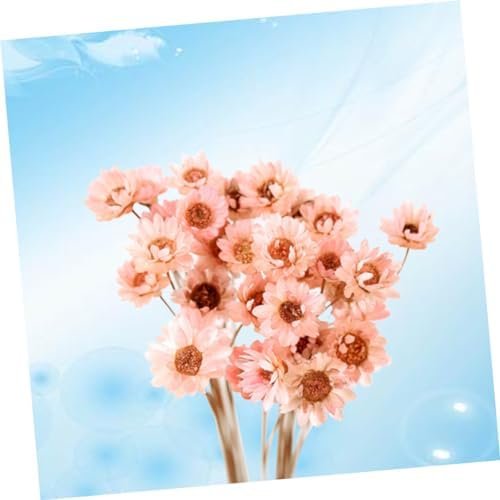 GOOHOCHY 30 Piezas Accesorios De Flores Eternas Margarita Flor Seca Flor Artificial Flores Artificiales Tapón Debajo del Sofá Flores Secas Flor Preservada Margarita Rosa Mini Ramo
