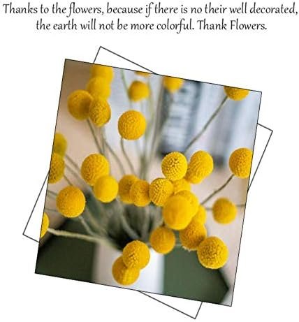 XIZHI 30 tallos de flores secas naturales de Craspedia de 2,5 a 4 cm de diámetro, ramo de bolas de botones amarillos, ramo de flores secas naturales para arreglos florales y decoración del hogar